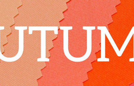 オータムタイプのカラードレープ