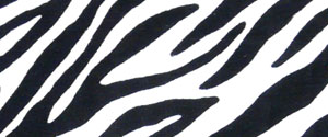 骨格ウェーブタイプに似合う柄(ゼブラ柄)
