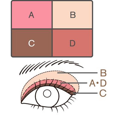 ルナソルの人気アイシャドウ「マカロングロウアイズ」の使い方